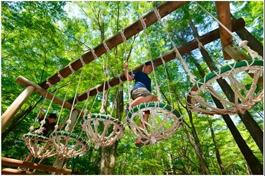 鼎创分享 | 打卡网红丛林穿越：惊险刺激好玩！