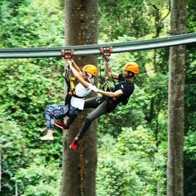 【鼎创游乐】景区网红游乐设备 厂家直销