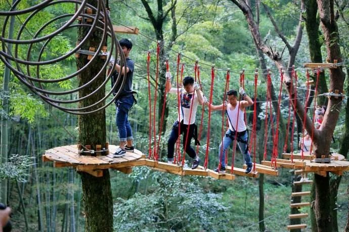 丛林穿越好玩刺激，等你来挑战！