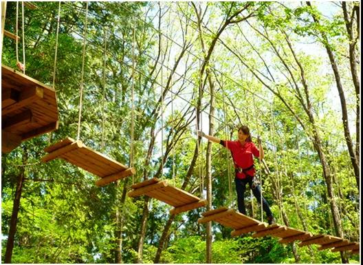 户外探险项目丛林穿越最受欢迎的项目有哪些