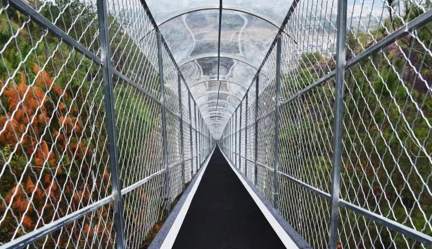 景区上山传送装置飞天魔毯有什么优势？