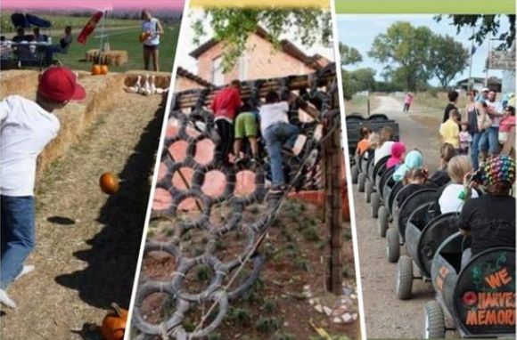 做亲子农庄，规划建设有什么特殊性？怎么做到成本少、回头客多？