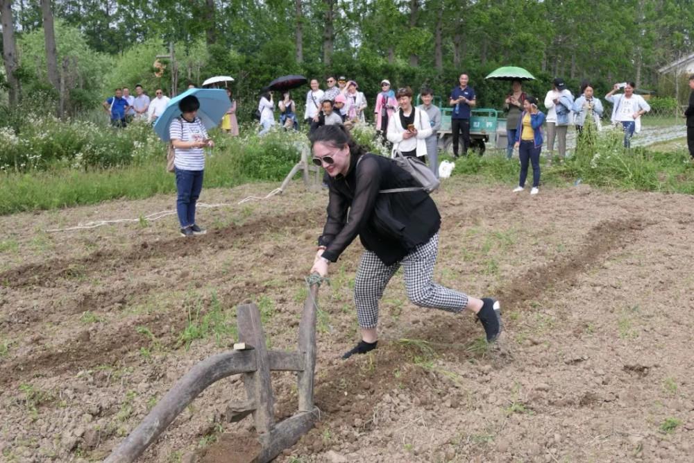 做亲子农庄，这些建设要点一定要掌握，反之会增加投资成本！